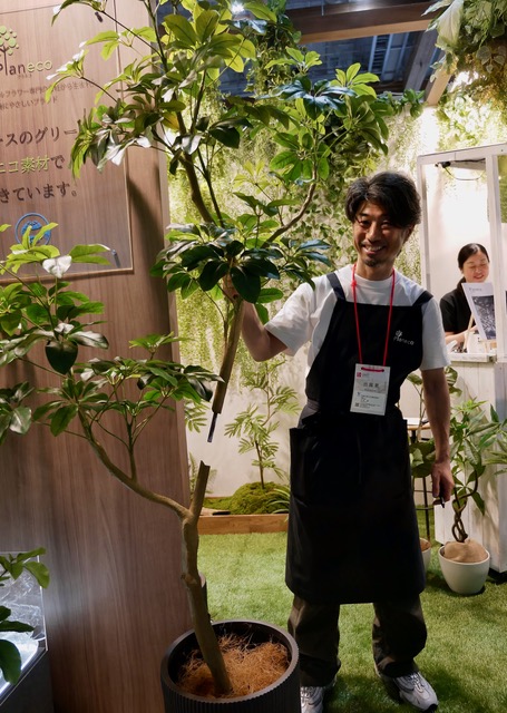 Artificial plants at Orgatec Tokyo 2025. Photo: John Boyd