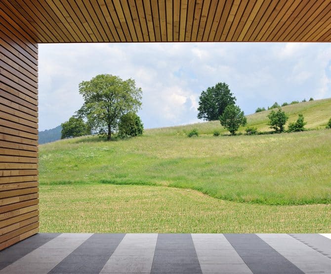 Image Reviving the 3rd Largest Forest Cover in Europe