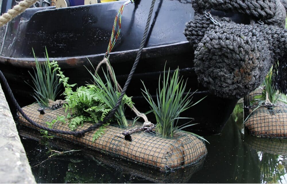 Image London Design: Restoring Water Ecosystems and Circular Manufacturing