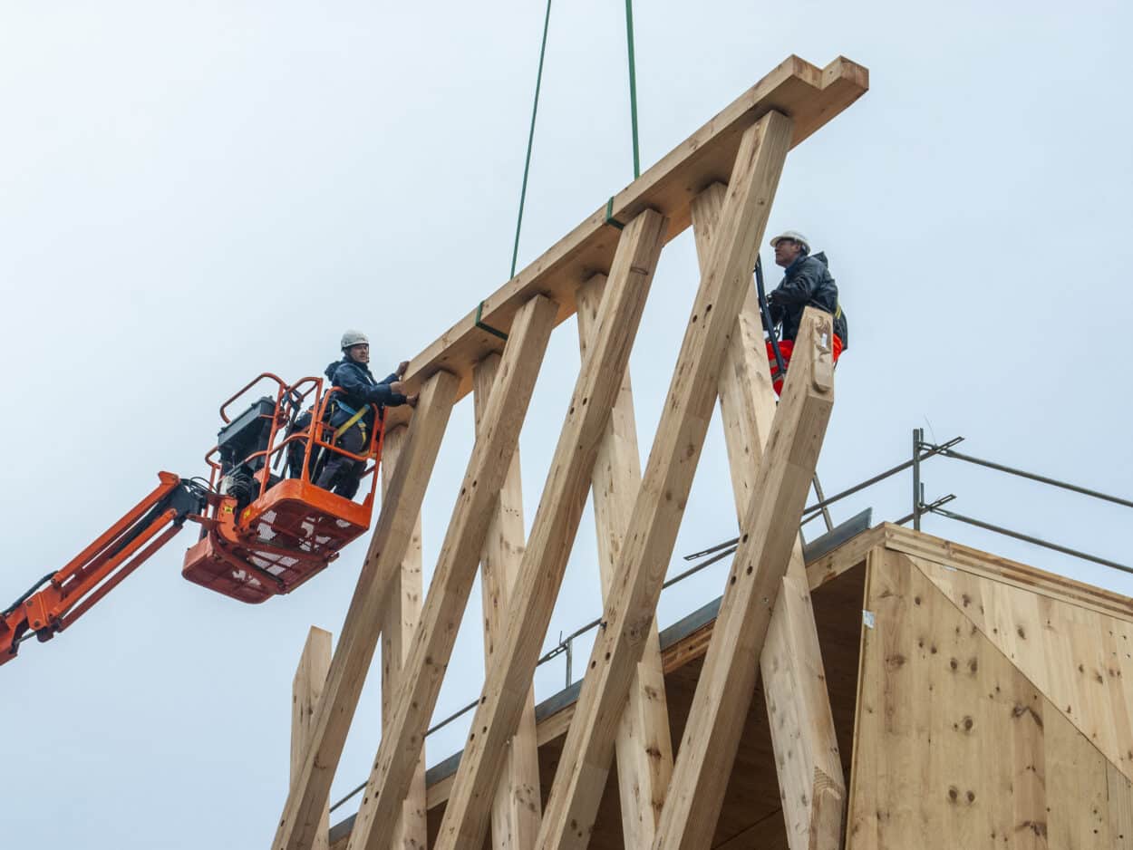Q&A: [Wood Construction] FSC France Revamps Standards and Explores Blockchain for Responsible Forest Management