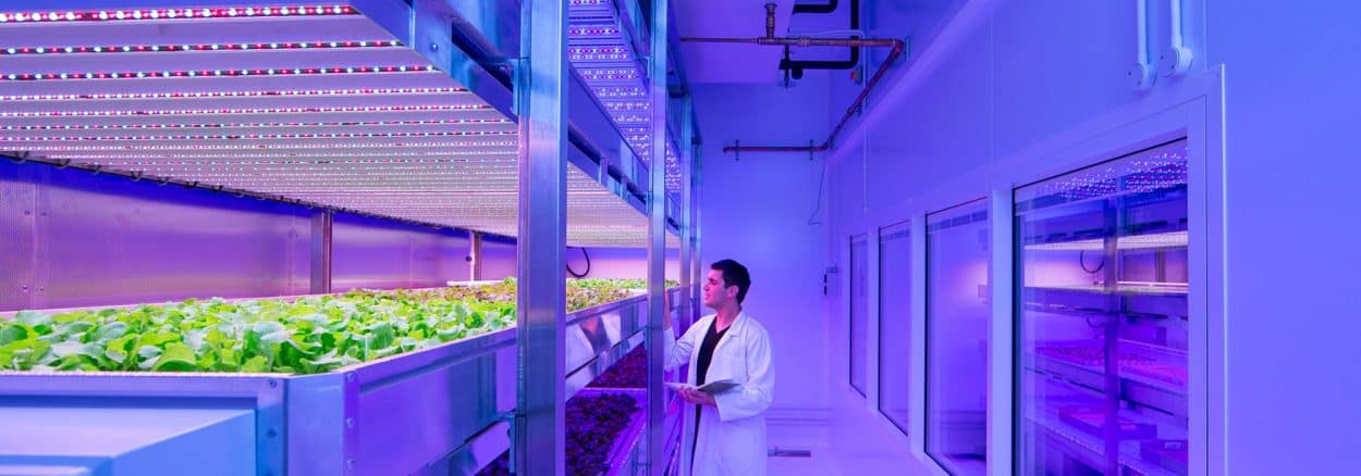 The Growing Advances of Vertical Farms