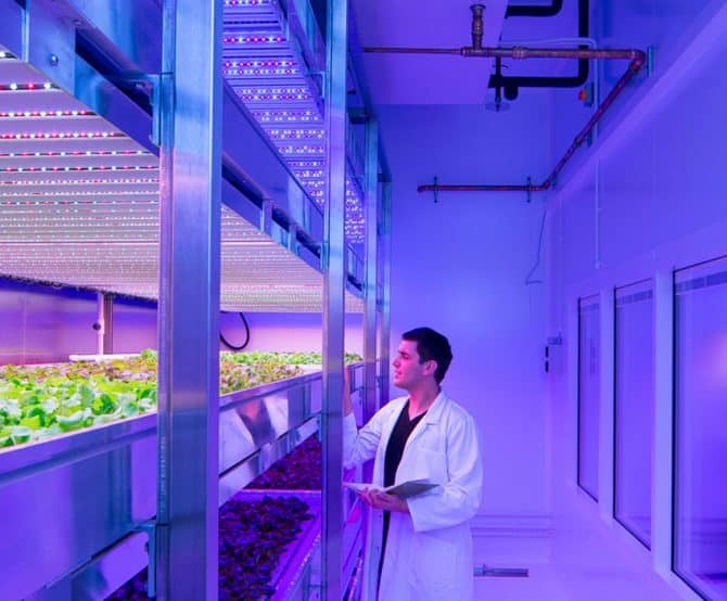 Image The Growing Advances of Vertical Farms