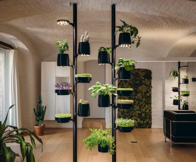 Image HomeForest: Let Interiors Breathe Nature