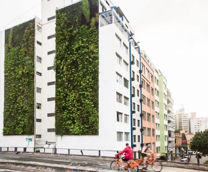 Image VIDEO. “Green Corridor” in Sao Paulo—a Gray City Going Green