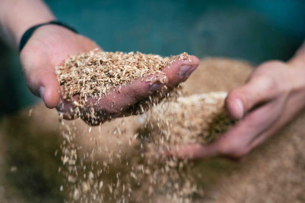 Brewer’s spent grain (BSG). Courtesy of Instead Mobilier.