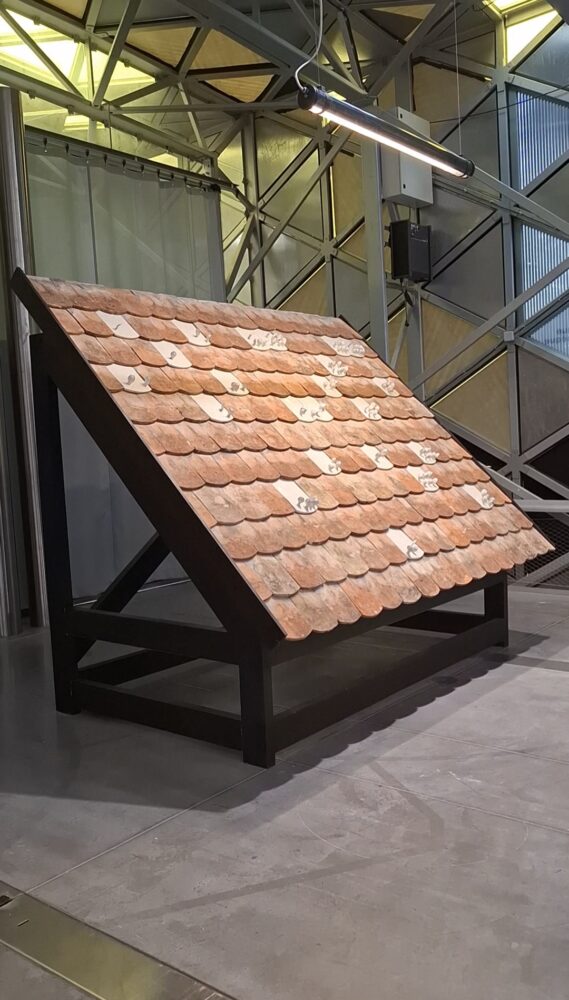 La Platine. The Wandering Roof. Photo: ArchiExpo e-Magazine.