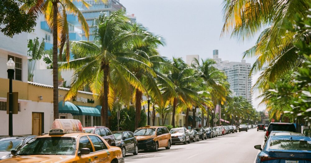 History Unfurling Today: Archives and Art at Art Basel Miami