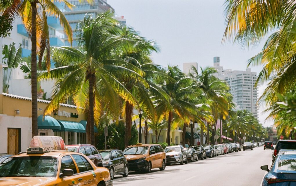 Image History Unfurling Today: Archives and Art at Art Basel Miami