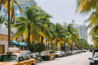 Image History Unfurling Today: Archives and Art at Art Basel Miami