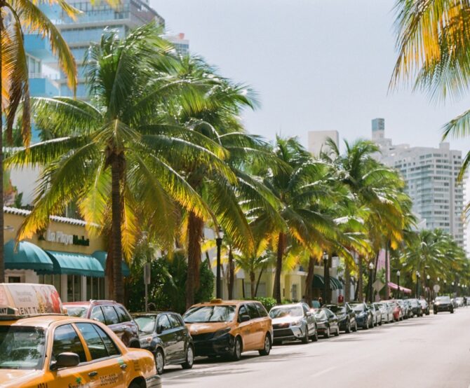 Image History Unfurling Today: Archives and Art at Art Basel Miami