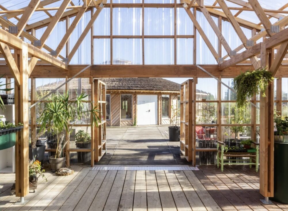 Patios, Edible Gardens, and Designing for Connection