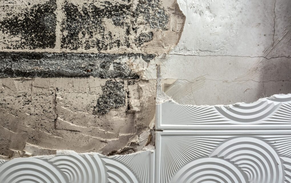 Image The Architecture of Resilience: Navigating Moisture, Mold, and the Modern Building Envelope