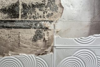 Image The Architecture of Resilience: Navigating Moisture, Mold, and the Modern Building Envelope