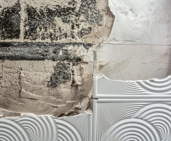 Image The Architecture of Resilience: Navigating Moisture, Mold, and the Modern Building Envelope