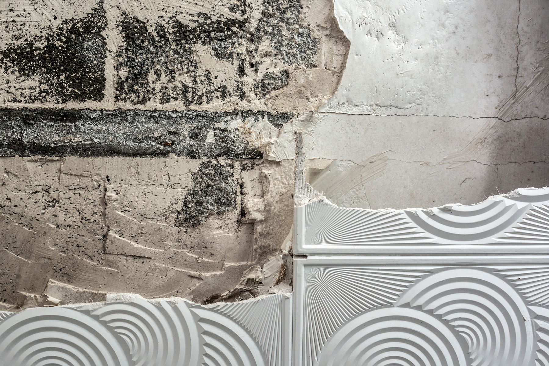 Curated visual reference: Navigating Moisture Mold And The Modern Building Envelope Photo Inspiration