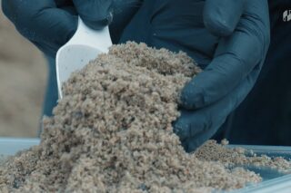 Image Shaping the Future of Construction in the Middle East