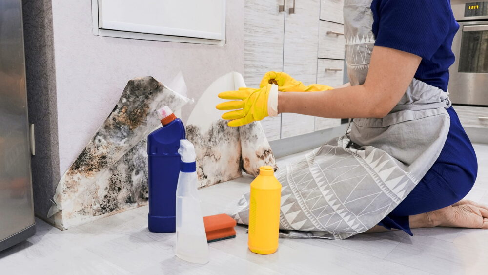 Invisible Moisture and Mold: How the Industry Is Fighting Back