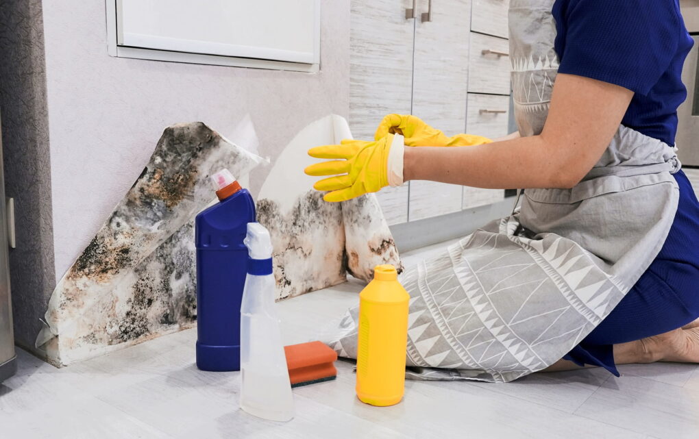 Image Invisible Moisture and Mold: How the Industry Is Fighting Back