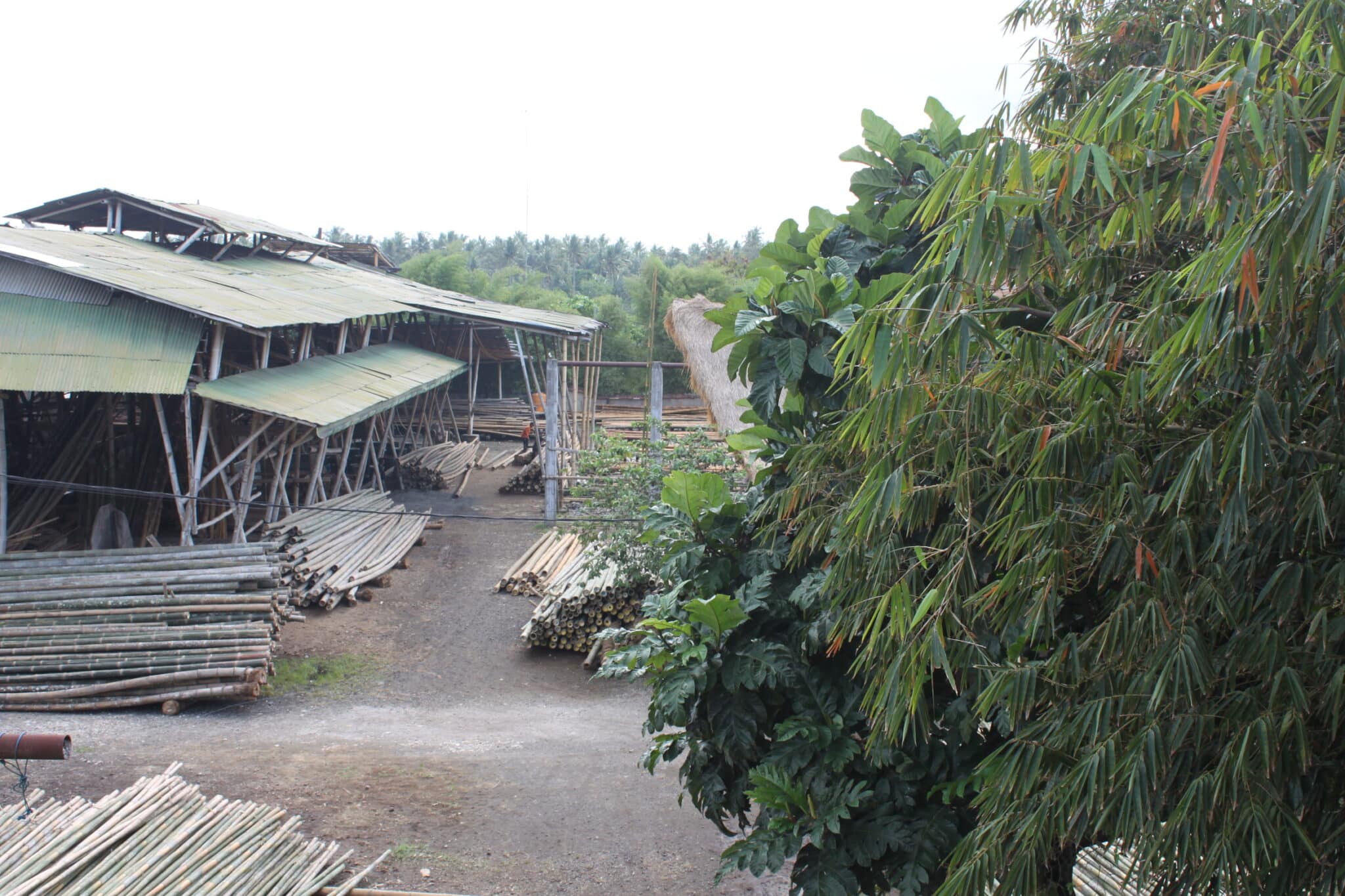 Touring the IBUKU factory in August 2018. Image: Vanessa Liwanag.