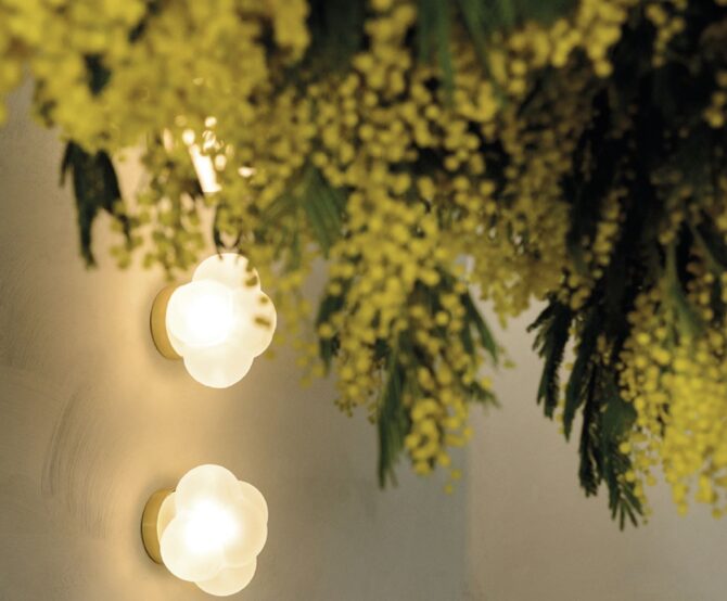 Image Embark on the New Year with Cutting-Edge Lighting Products