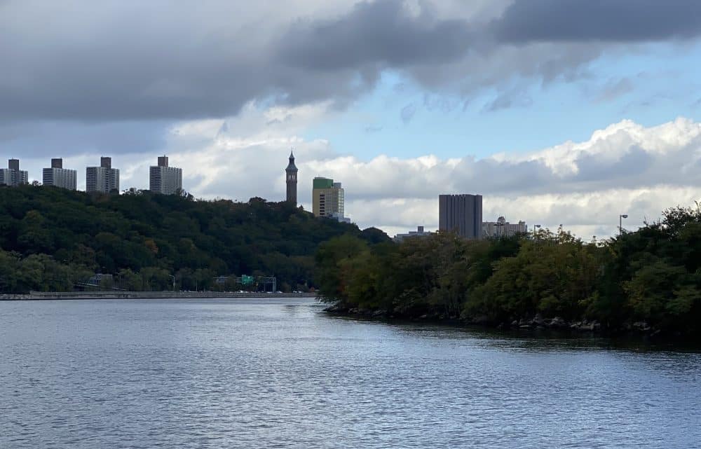 Image Boat Trips Around Manhattan by the American Institute of Architects