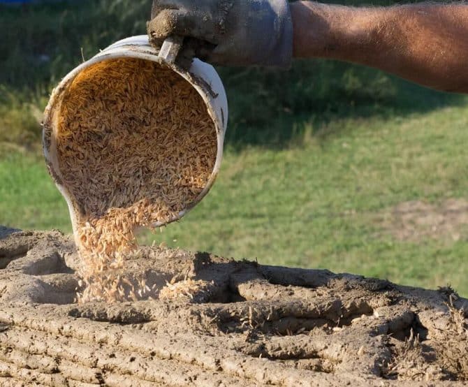 Image Q&A: Italian Startup Ricehouse Builds Houses from Rice