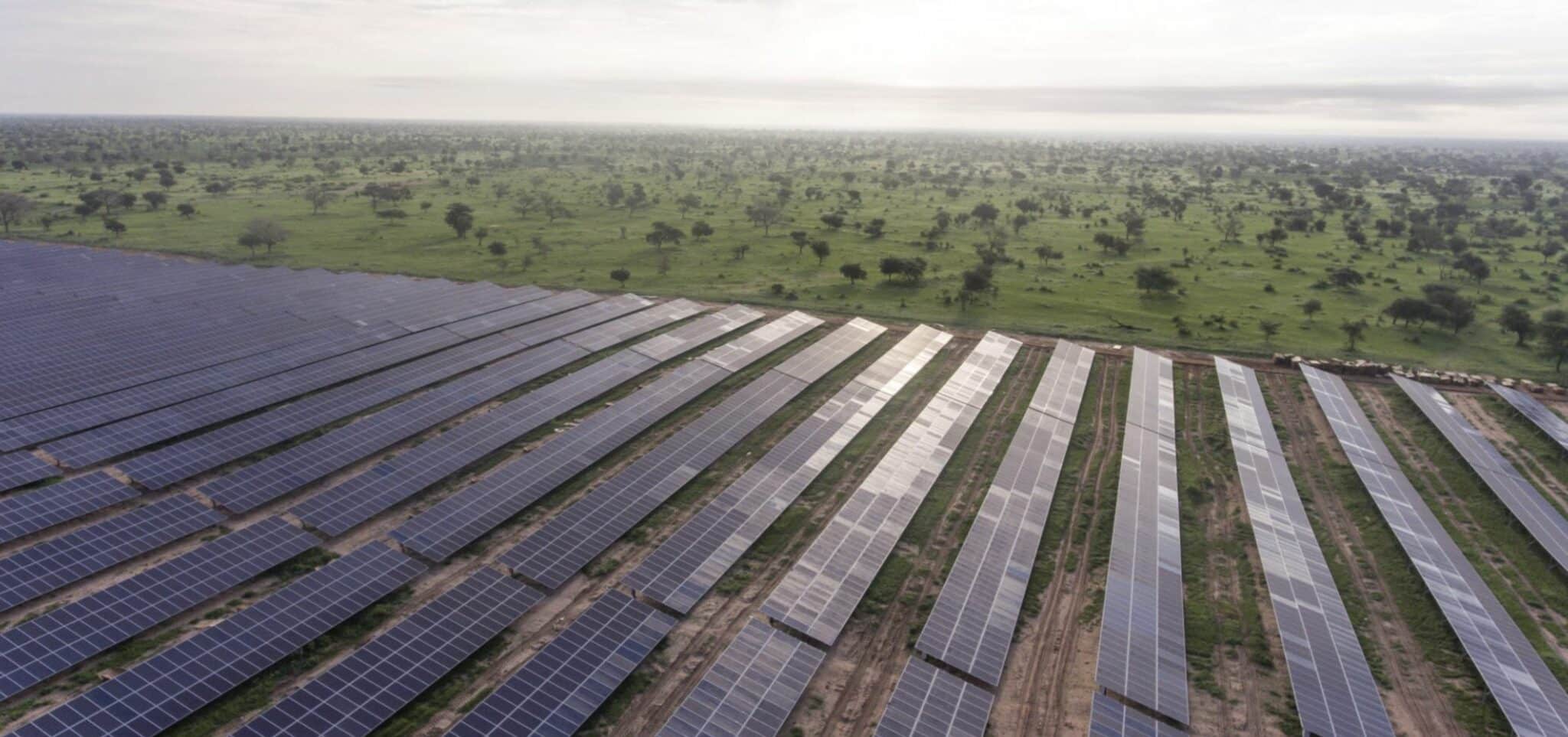 Sustainability Week Africa Africa’s Green Industrial Revolution ArchiExpo eMagazine