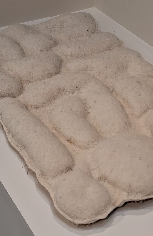 "Transforming wool" at La Platine. Photo: ArchiExpo e-Magazine.