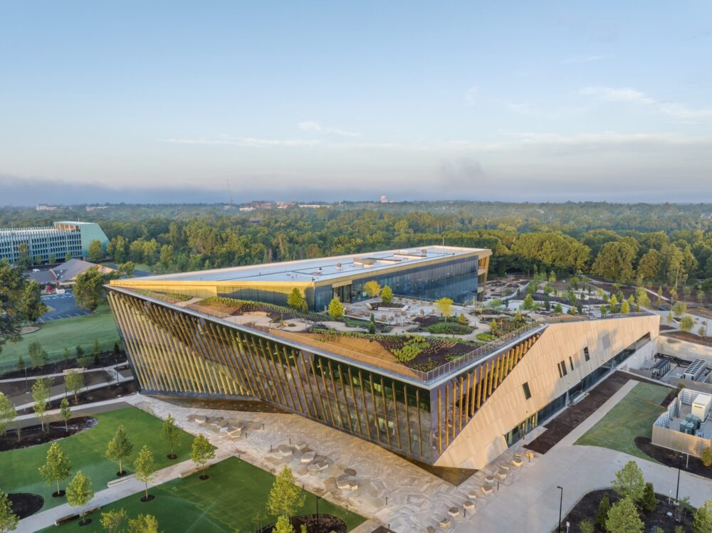 Neuroaesthetics Is Reshaping Wellness and the Built Environment