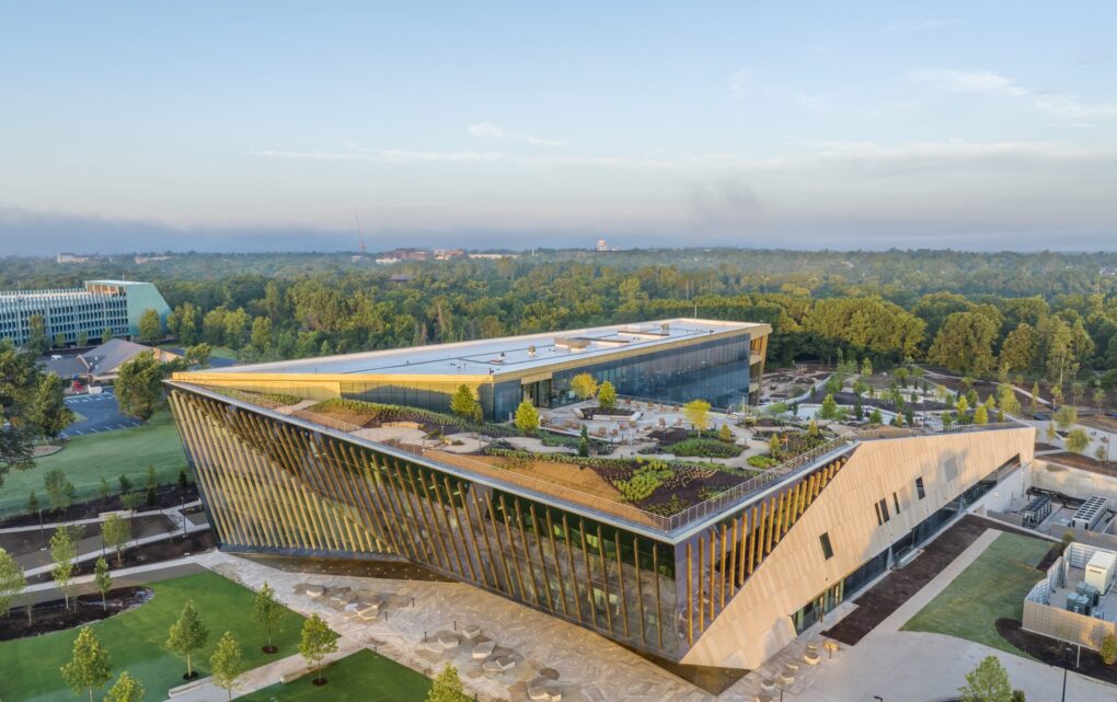 Image Neuroaesthetics Is Reshaping Wellness and the Built Environment