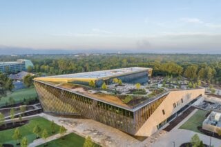 Image Neuroaesthetics Is Reshaping Wellness and the Built Environment